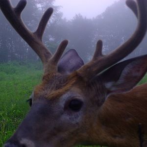 Meet your Posher, Julian